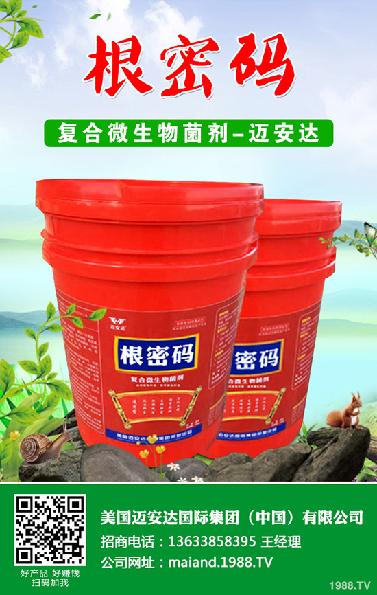 �����Jʲô�r��Nֲ�������J�Nֲ���g��