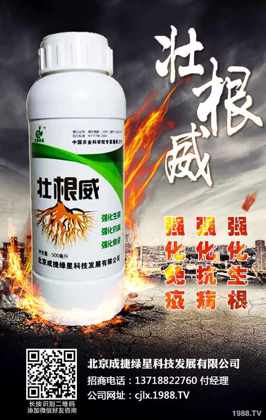 �ཷ�ķNֲ��������Щ���ཷ�Nֲ�^������Ҫע��Ď״��}