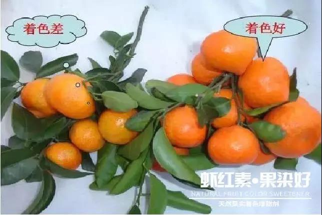 ��Ȼ����(sh��)��ɫ�����������r�t�ء��Ⱦ�ã�