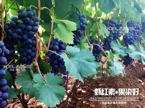 ��Ȼ����(sh��)��ɫ�����������r�t�ء��Ⱦ����