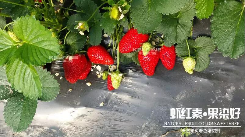 ��Ȼ����(sh��)��ɫ�����������r�t�ء��Ⱦ����