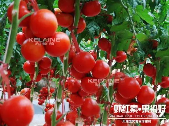 ��Ȼ����(sh��)��ɫ�����������r�t�ء��Ⱦ����