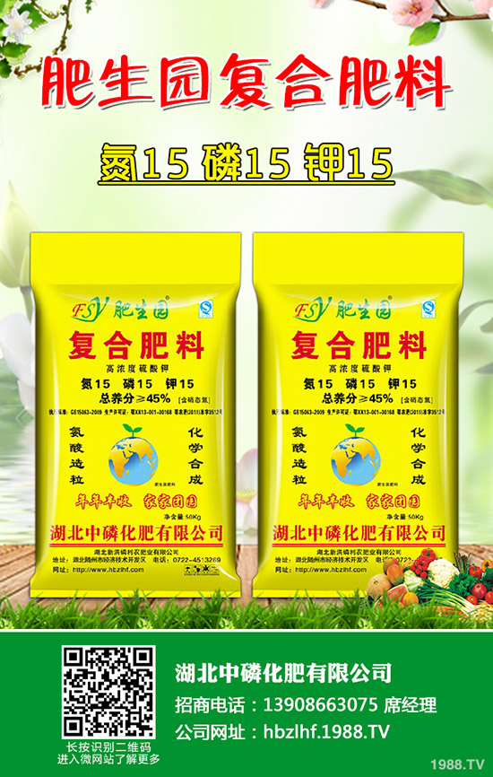     2019��9�µڶ����������؃r(ji��)�������߄�(sh��)����