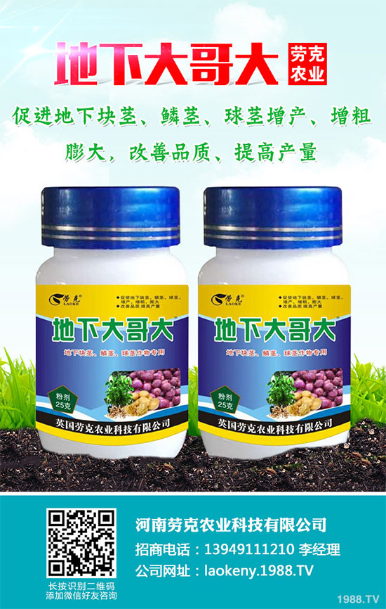 �������Щ�I(y��ng)�B(y��ng)�r(ji��)ֵ���Խ������Щ��̎����˵Ĺ�Ч�c����