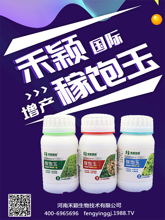 ����Nֲ���ի@�r(sh��)�g������Nֲ�����L(zh��ng)�h(hu��n)����