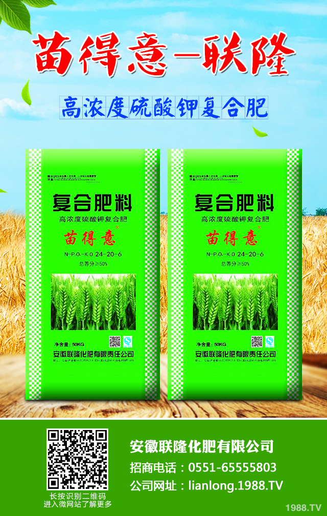 С����ô����Ч������С�����������g����