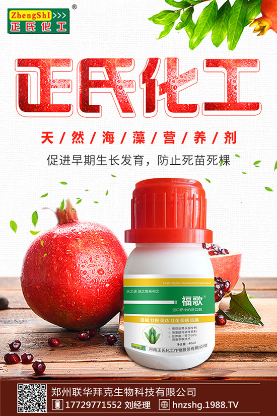 ���y����ʲô���������y���Ĺ�Ч�cʳ�ý�����