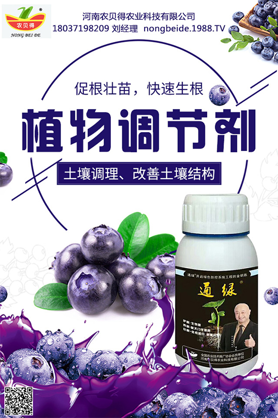 ���[ԓ������磿�������[��������
