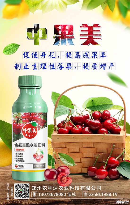 ��ʲô�r(sh��)��N�Nֲ���𽷷NֲҪ�c(di��n)��