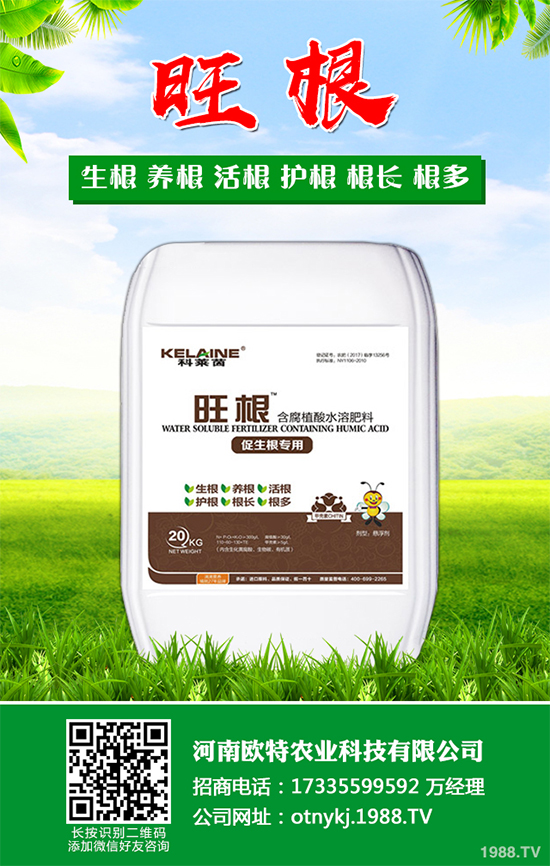 ���[�ɼ���զ���������ӽ�Q�����[�ɼ��ԭ�򼰷���