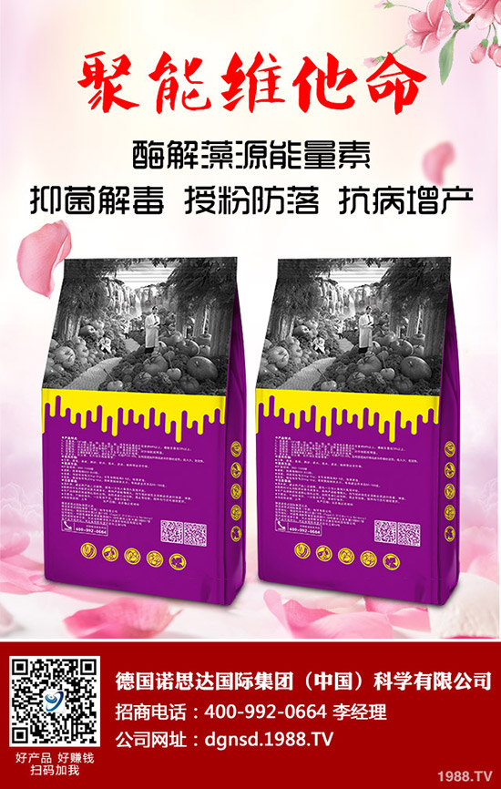 近期國內(nèi)一銨價格走勢分析及后市預(yù)測2019-9-18