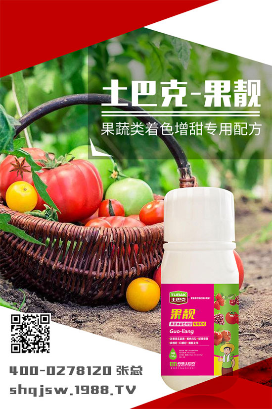 �ϹϷNֲ�r�g��ʲô�r���ϹϵĲ��N���������༼�g(sh��)!