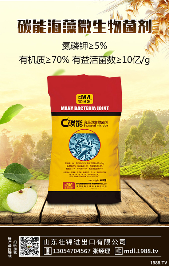 ���[�ϰ߲�����ЩΣ�������������ģ����[�ϰ߲��ķ��δ�ʩ