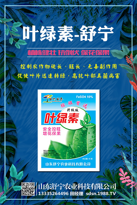 ������ô�Nֲ���Nֲ���ӵ�ע���������Щ��