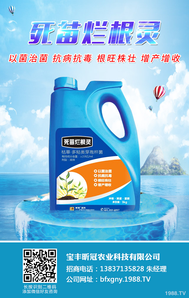 水稻爛秧有什么解決方法?水稻爛秧解決方法