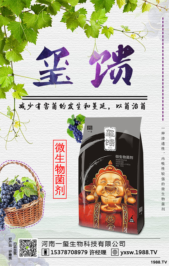     �������ӷNֲ�{ݮ���Nֲ�{ݮ��(y��ng)ԓע��ʲô��