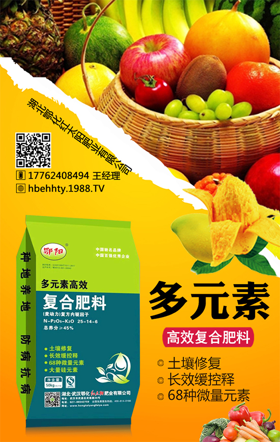 �SƤ��������ô�Nֲ���SƤ�������ķNֲ���g(sh��)��