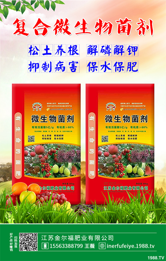 �㶹ʲô�r(sh��)��Nֲ��ԓ��ô�N���㶹�Nֲ�r(sh��)�g���Nֲ���g(sh��)Ҫ�c(di��n)