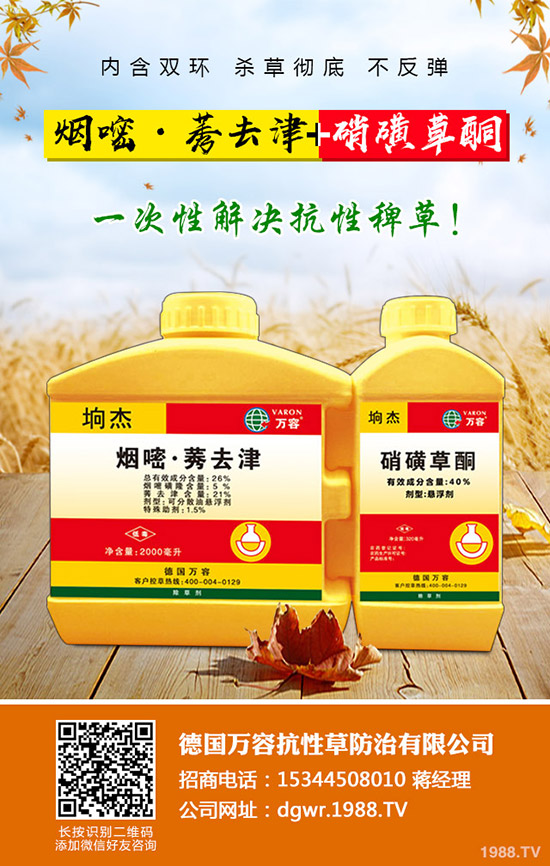 ��������ô�޽ӣ�������޽ӷ�����