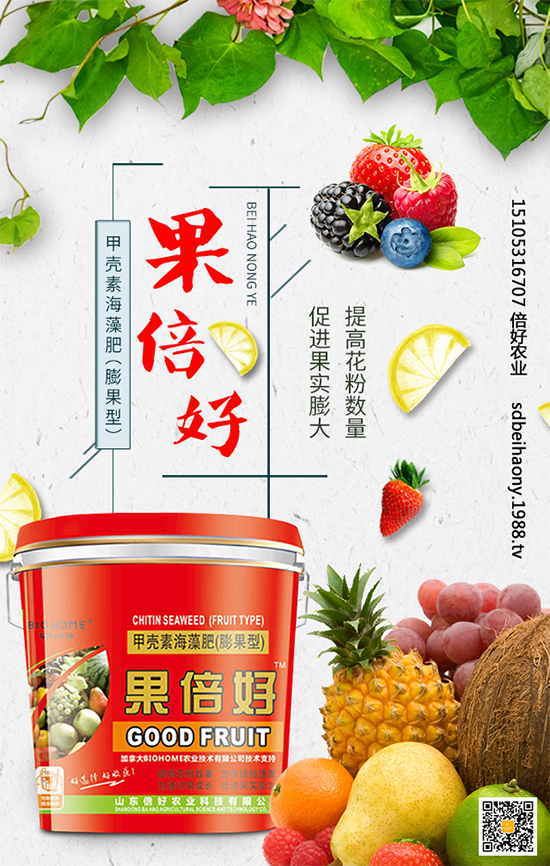 ʥŮ��ʲô�r(sh��)�g�Nֲ��ʥŮ���Nֲ���g(sh��)Ҫ�c(di��n)����Щ��