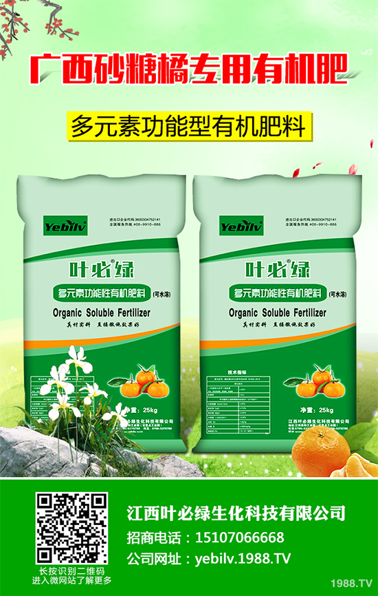     �㶹���ճ������г�Ҋ���߲ˣ��I�B(y��ng)�r(ji��)ֵ�S���������˂�ϲ�������㶹�Nֲ�^�����y���(hu��)���F(xi��n)һЩ���������u�������㶹�P���Ƿǳ���Ҋ��һ�N����������r(sh��)���ξ͕�(hu��)��(d��o)�º��m����(y��n)�؜p�a(ch��n)����ô���㶹�P������ЩΣ���Y������ԓ��η�����