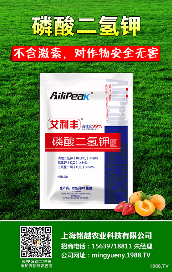 �㶹����������ЩΣ�����F(xi��n)��ԓ���ӷ������㶹���������η���