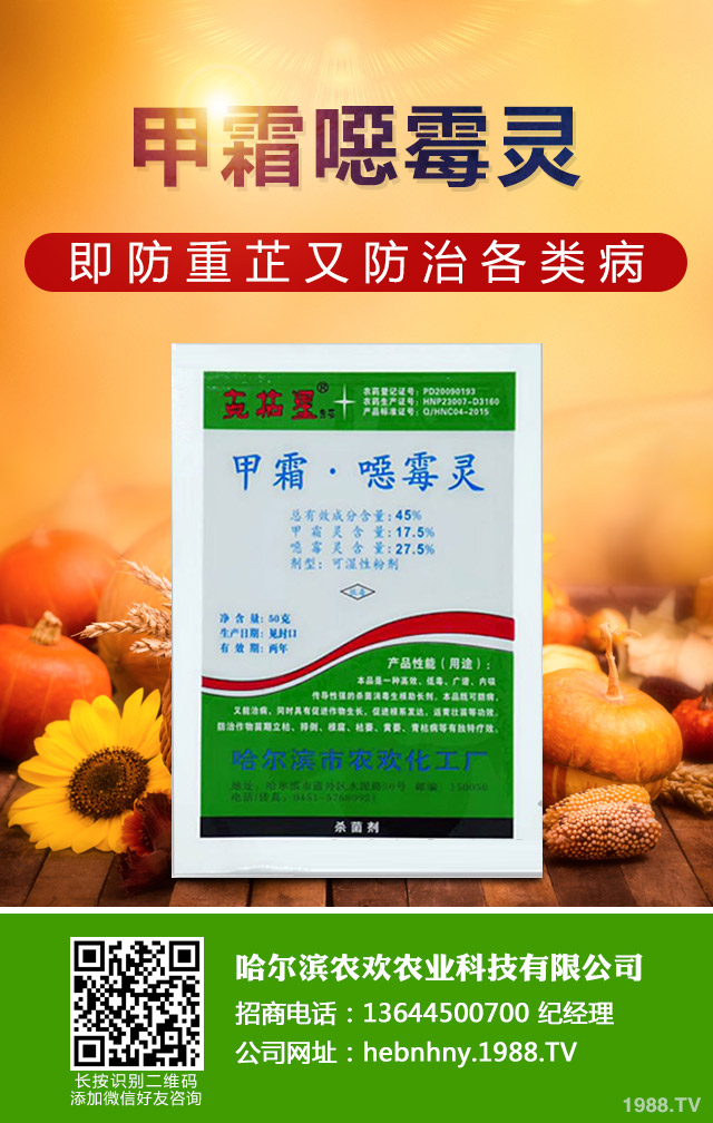 烏塌菜霜霉病怎么治?烏塌菜霜霉病防治技巧