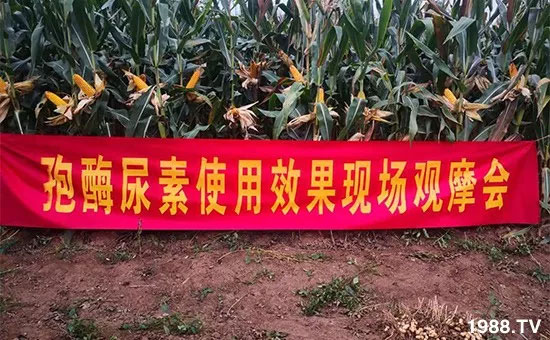 �ٿ���С�����a(ch��n)1471�����pø����ȫ������(j��)�����߮a(ch��n)������(d��ng)֮�o(w��)����