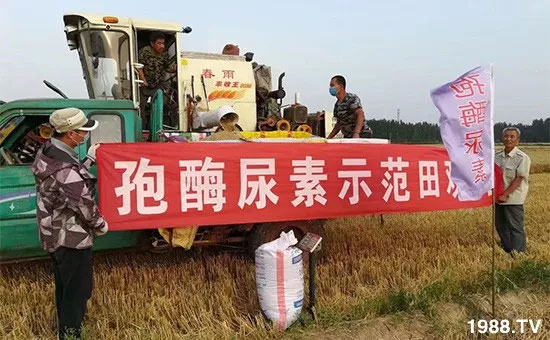 �ٿ���С�����a(ch��n)1471��pø����ȫ������(j��)�����߮a(ch��n)������(d��ng)֮�o(w��)����