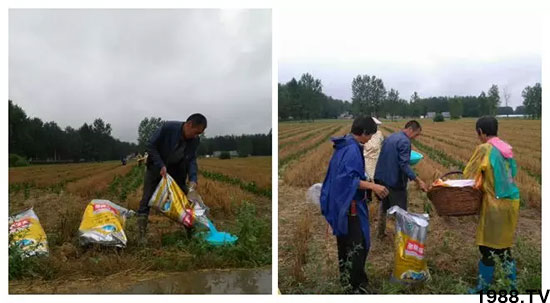 �ٿ���С�����a(ch��n)1471�����pø����ȫ������(j��)�����߮a(ch��n)������(d��ng)֮�o(w��)����