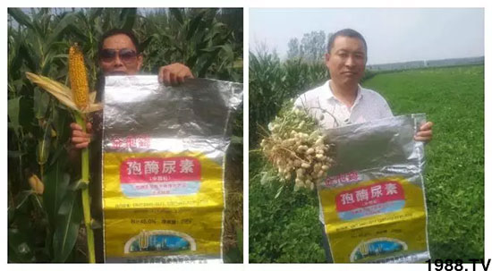 �ٿ���С�����a(ch��n)1471��pø����ȫ������(j��)�����߮a(ch��n)������(d��ng)֮�o(w��)����