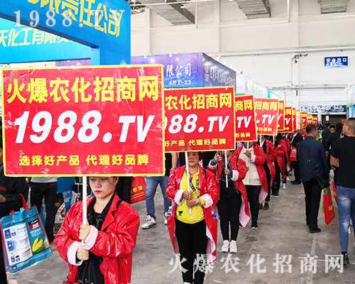 2019�L��ֲ���������r���W�����ƏV�ݲ��ɓ���