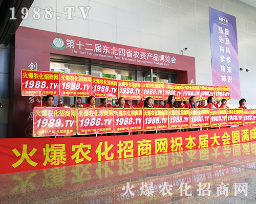 ��ʮ�����L��ֲ������1988.TV������ݿ�ǰ��(qi��ng)����