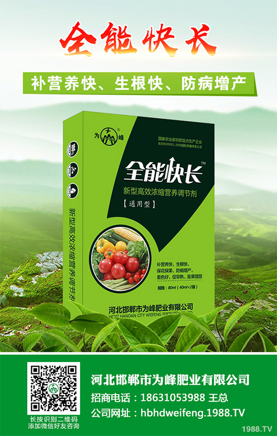 ����������Щ��̎������Ĺ�Ч���ü�ʳ�ý���