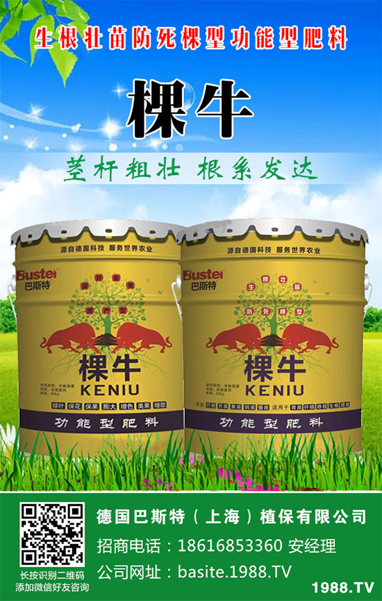 ���[���ʩ�ʣ����[�ƌW(xu��)������ʩ�ʷ�����