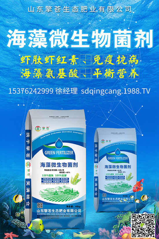     �ﶬ�}����ô�Nֲ���ﶬ�}�����N�r�g�����g����������