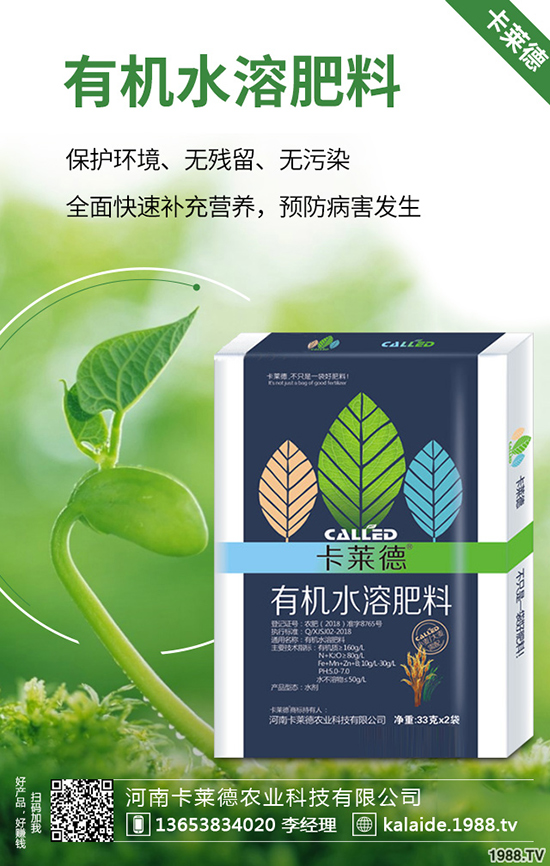 �G�}�L(zh��ng)��̫�L(zh��ng)��ô�k���G�}���޼���������Щ��