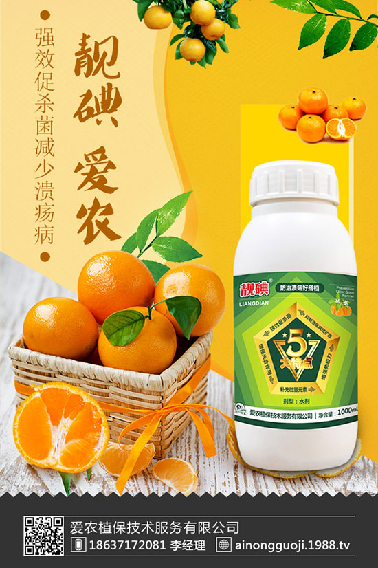 ���m����ηNֲ�����m���Nֲ�r(sh��)�g��������