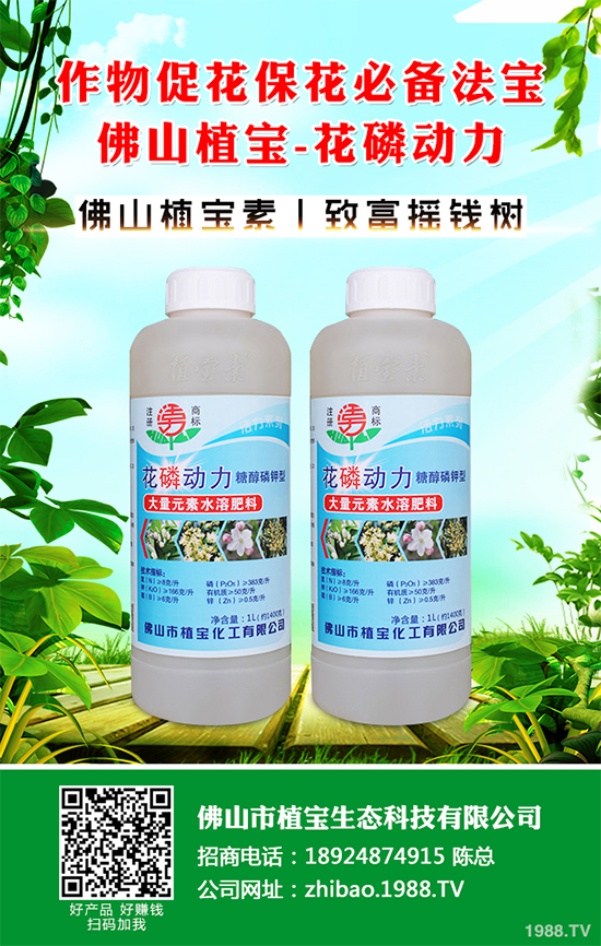 茼蒿葉斑病危害這么大，到底該如何防治？茼蒿葉斑病防治措施