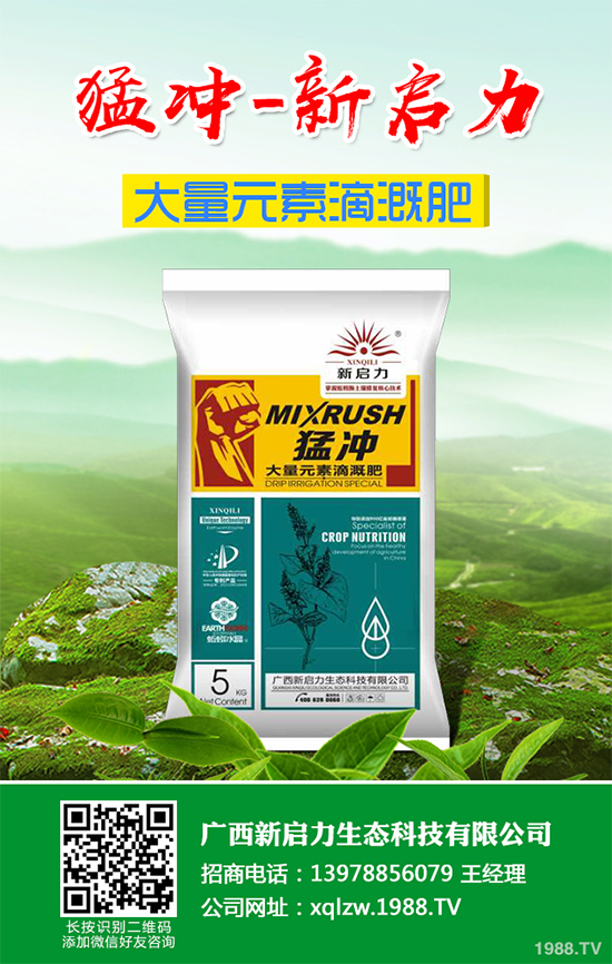 茼蒿葉斑病危害這么大，到底該如何防治？茼蒿葉斑病防治措施