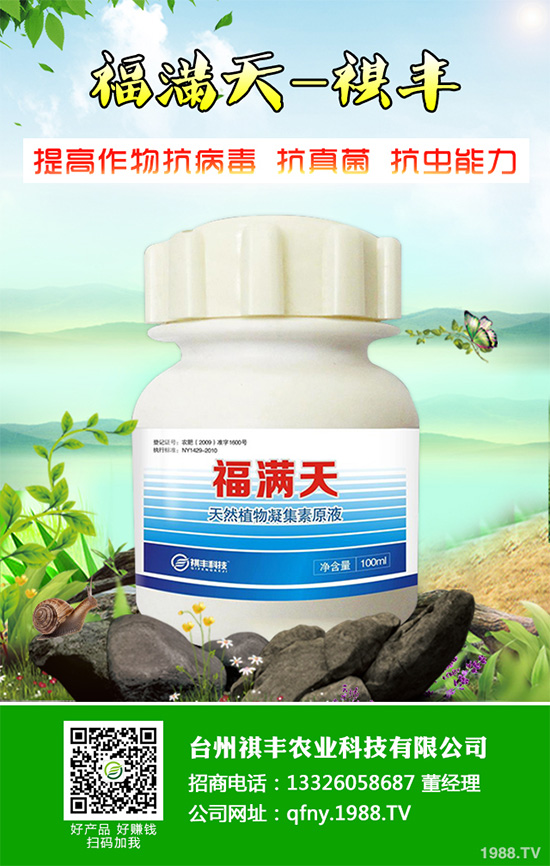 ���n������Щ��̎����Ҋ�n�ĵ�����