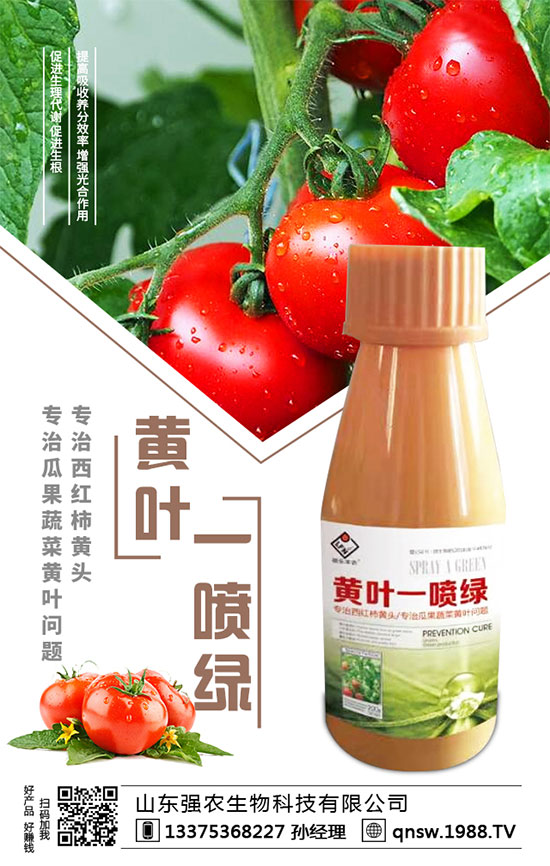 ���}�����N�r�g�����}���Nֲ��Ҫע����Щ�����