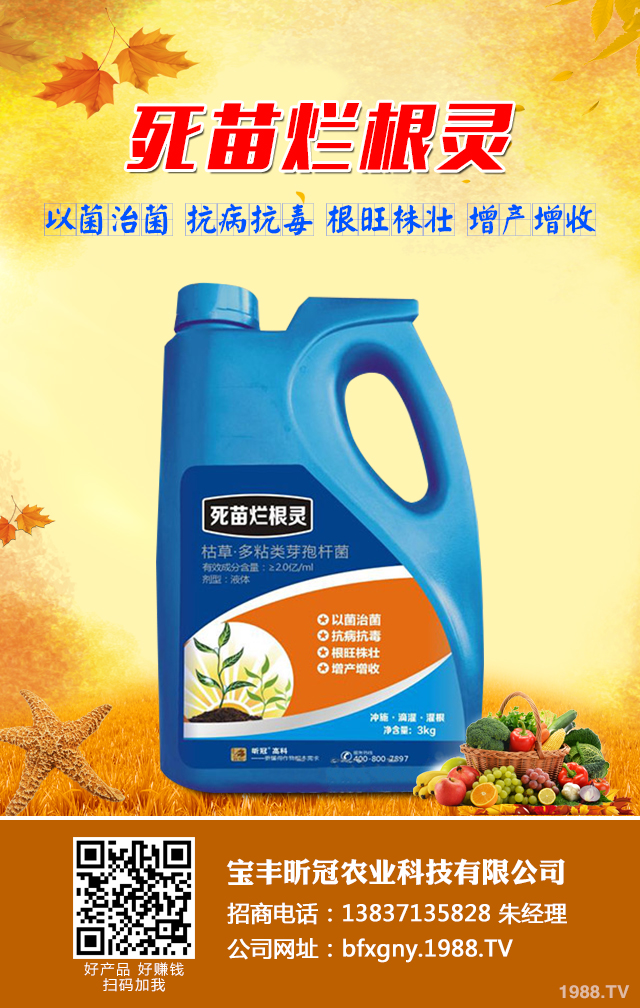 如何去除甘薯常見(jiàn)病蟲(chóng)害?甘薯常見(jiàn)病蟲(chóng)害防治技巧