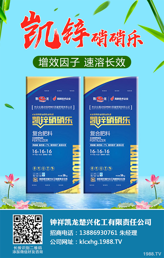     �n�ĺڰ߲�����ΰl(f��)����������ЩΣ�����n�ĺڰ߲����δ�ʩ