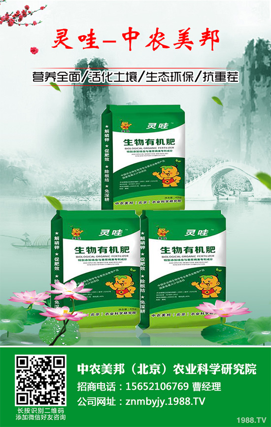     �n�ĺڰ߲�����ΰl(f��)����������ЩΣ�����n�ĺڰ߲����δ�ʩ