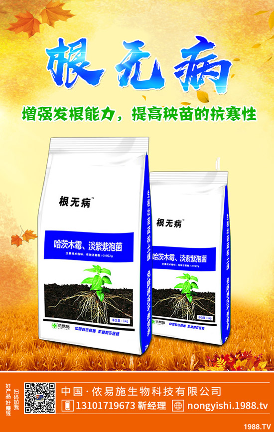     ��������[�����[�Nֲٍ�X������Ҋ�{(di��o)ζ���߲˷Nֲ����������