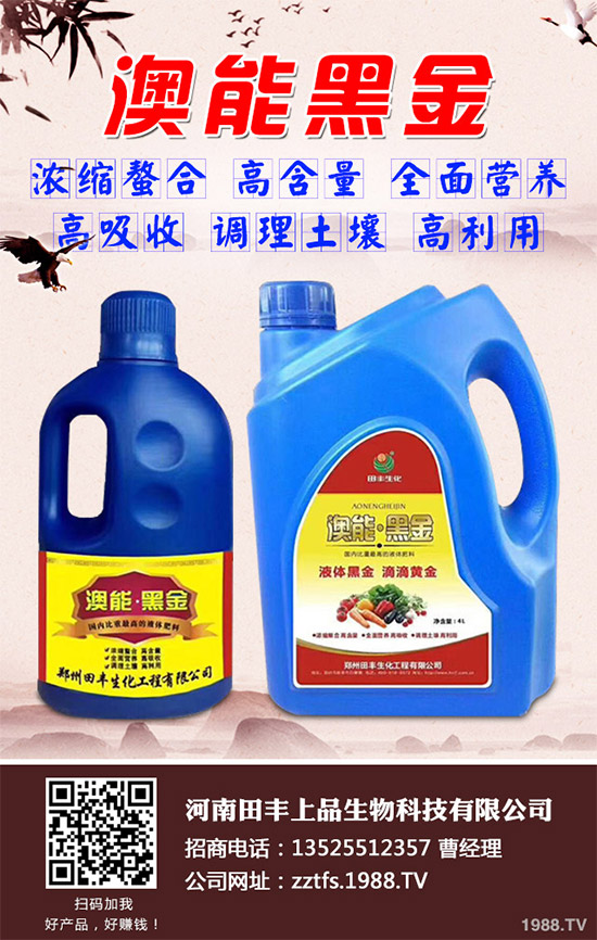 ���Ĳ�����Щ�I�B(y��ng)�rֵ���Ծ��Ĳ�����Щ��̎������Գ�������