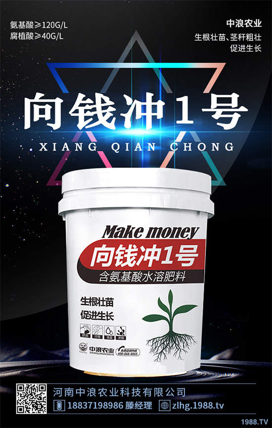 ¶�ؾ��Ĳ�ʲô�r(sh��)��Nֲ��¶�ؾ��Ĳ˷Nֲ���g(sh��)��ȫ