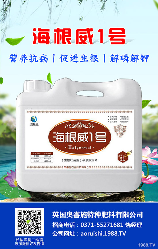 吃芋頭有哪些好處，芋頭的營(yíng)養(yǎng)價(jià)值及食用禁忌！