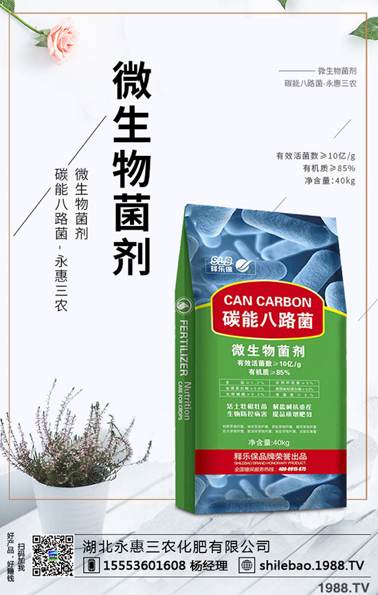     2019��9�µ�һ������(gu��)��(n��i)��(f��)�Ϸʃr(ji��)�������߄�(sh��)�܈�(b��o)